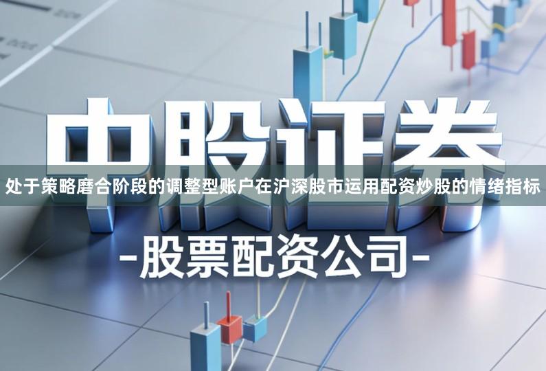 处于策略磨合阶段的调整型账户在沪深股市运用配资炒股的情绪指标