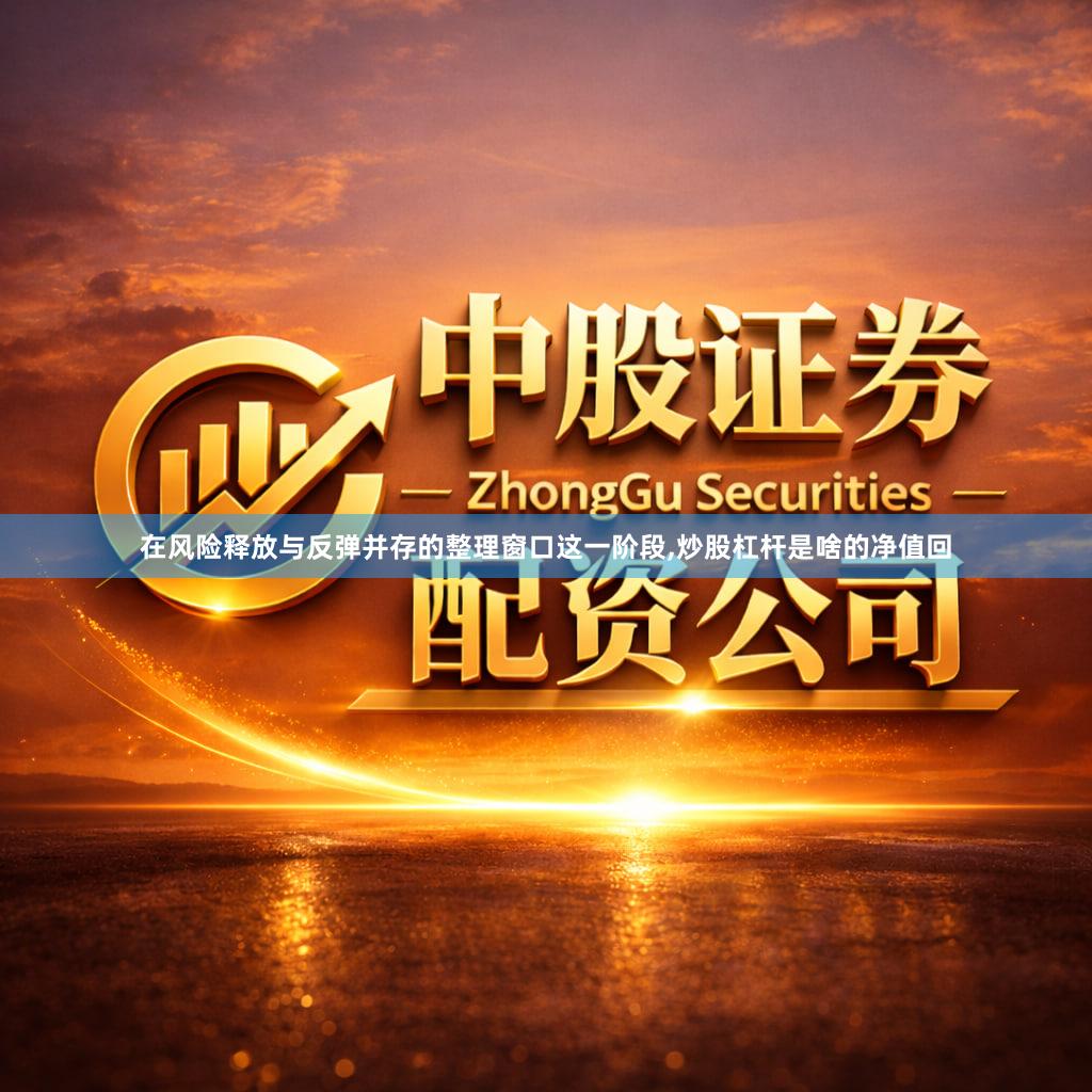 在风险释放与反弹并存的整理窗口这一阶段,炒股杠杆是啥的净值回