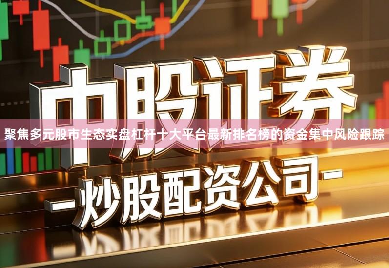 聚焦多元股市生态实盘杠杆十大平台最新排名榜的资金集中风险跟踪
